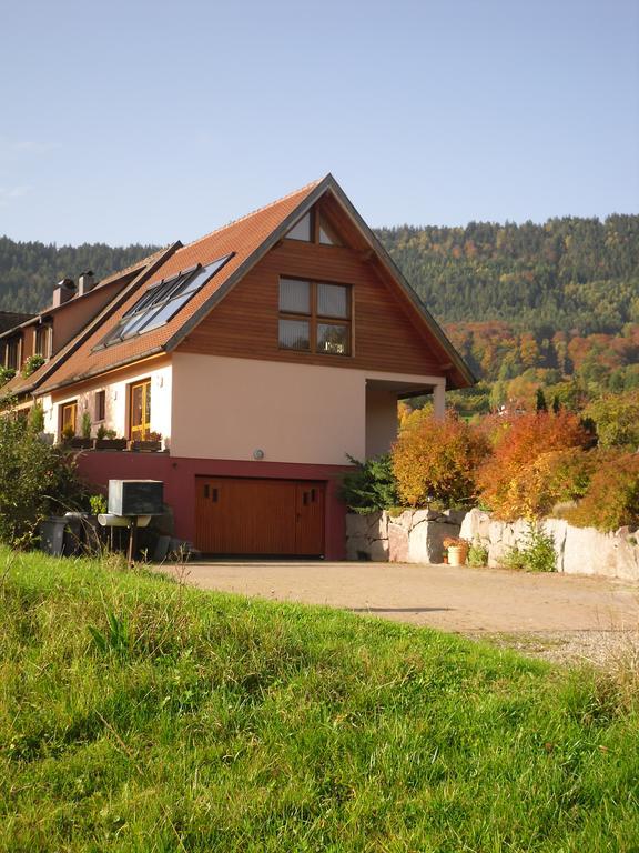 Gites Du Taennchel Thannenkirch Exterior foto